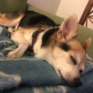 Meet your Posher, Sandra